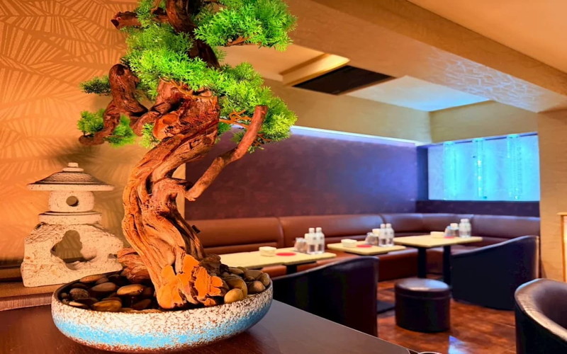 グランクラスの店内1